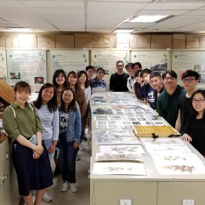 Biology Of Vascular Plant Hong Kong Herbarium Visit 2019 3