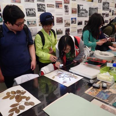 Visit To Shiu Ying Hu Herbarium Biology Of Vascular Plants 1 20150417 1171803595