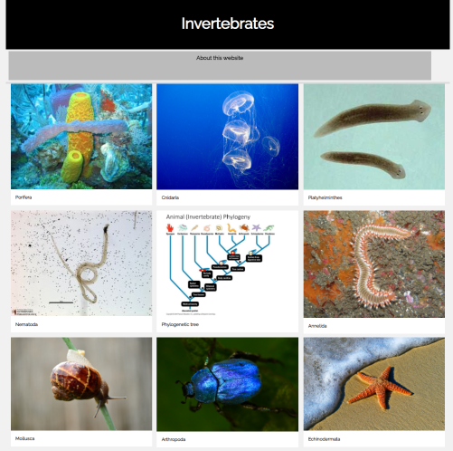 InvertebrateBiology thumbnail