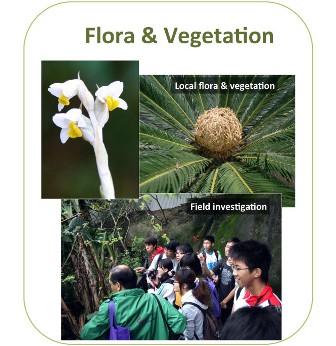 Flora & Vegetation