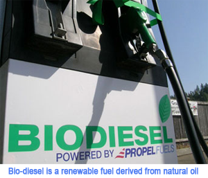 ES-biofuel