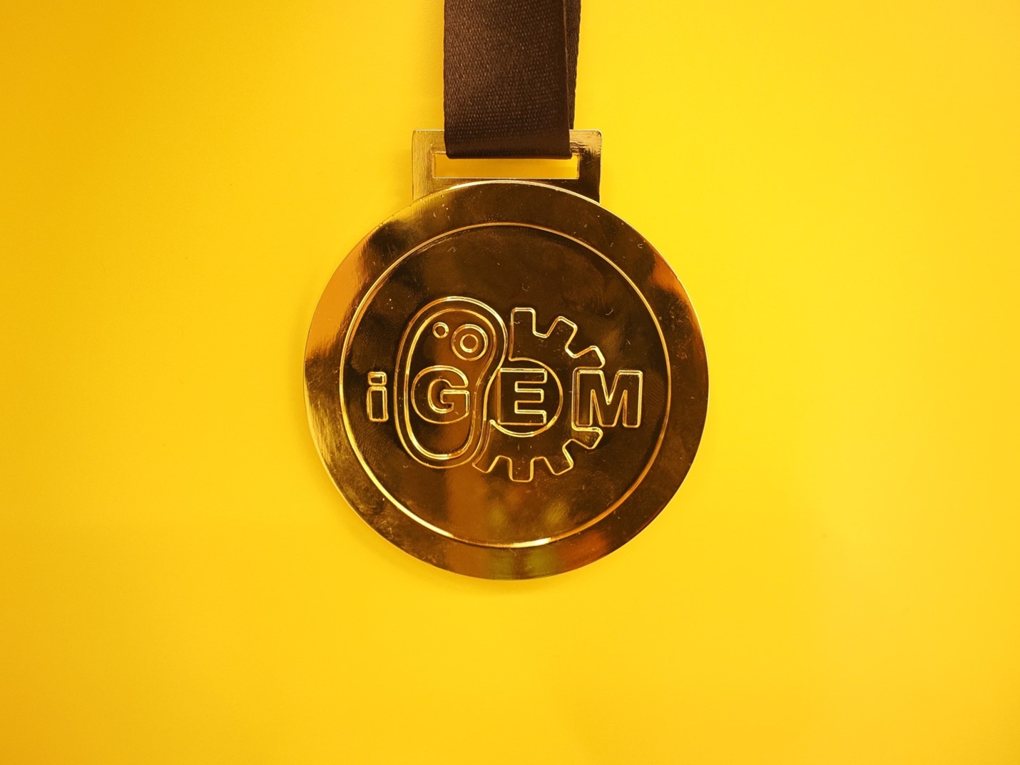 3 igem2024