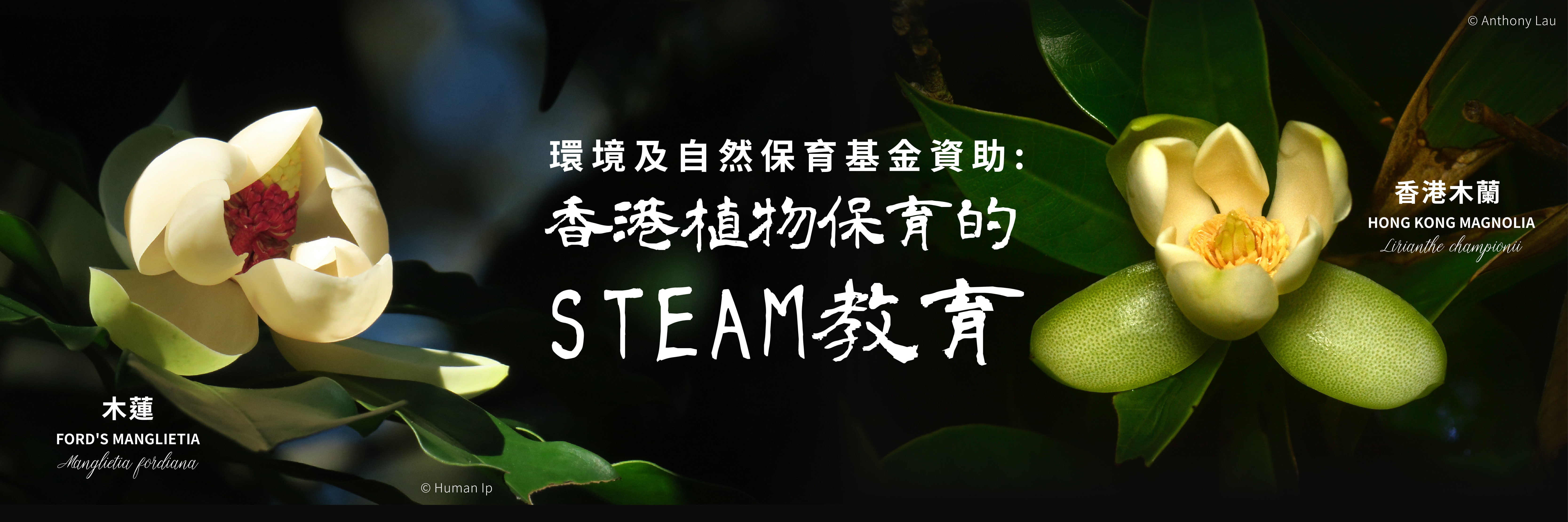 Website Banner
