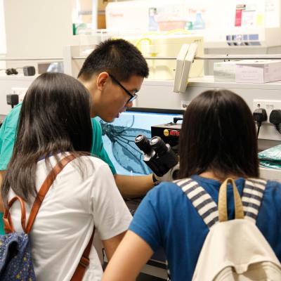 Orientation 2014 20150707 1056607946