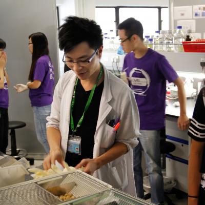 Orientation 2014 20150707 1291403272