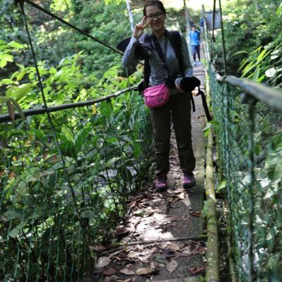 Danum Valley Field Study 11 20160901 1914754516