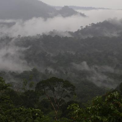 Danum Valley Field Study 32 20160901 1937502024