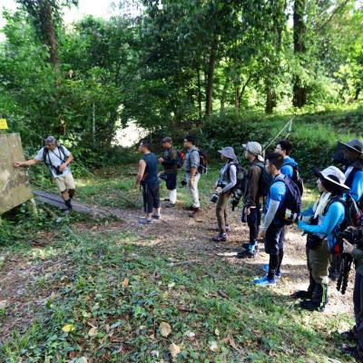 Danum Valley Field Study 33 20160901 2005615704