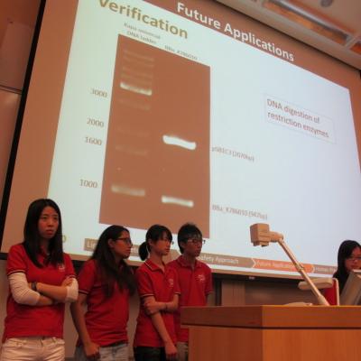 Dream Igem 40 20121204 1818497917