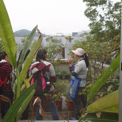 Green House Visit Biology Of Vascular Plants 1 20150417 1775171161