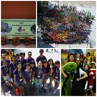 igem2013-4in1