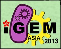 igem2013 logo