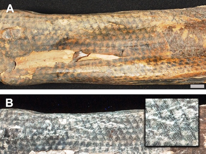 CUHK collaborative study reveals hidden complexity of ancient Peruvian tattoos ...